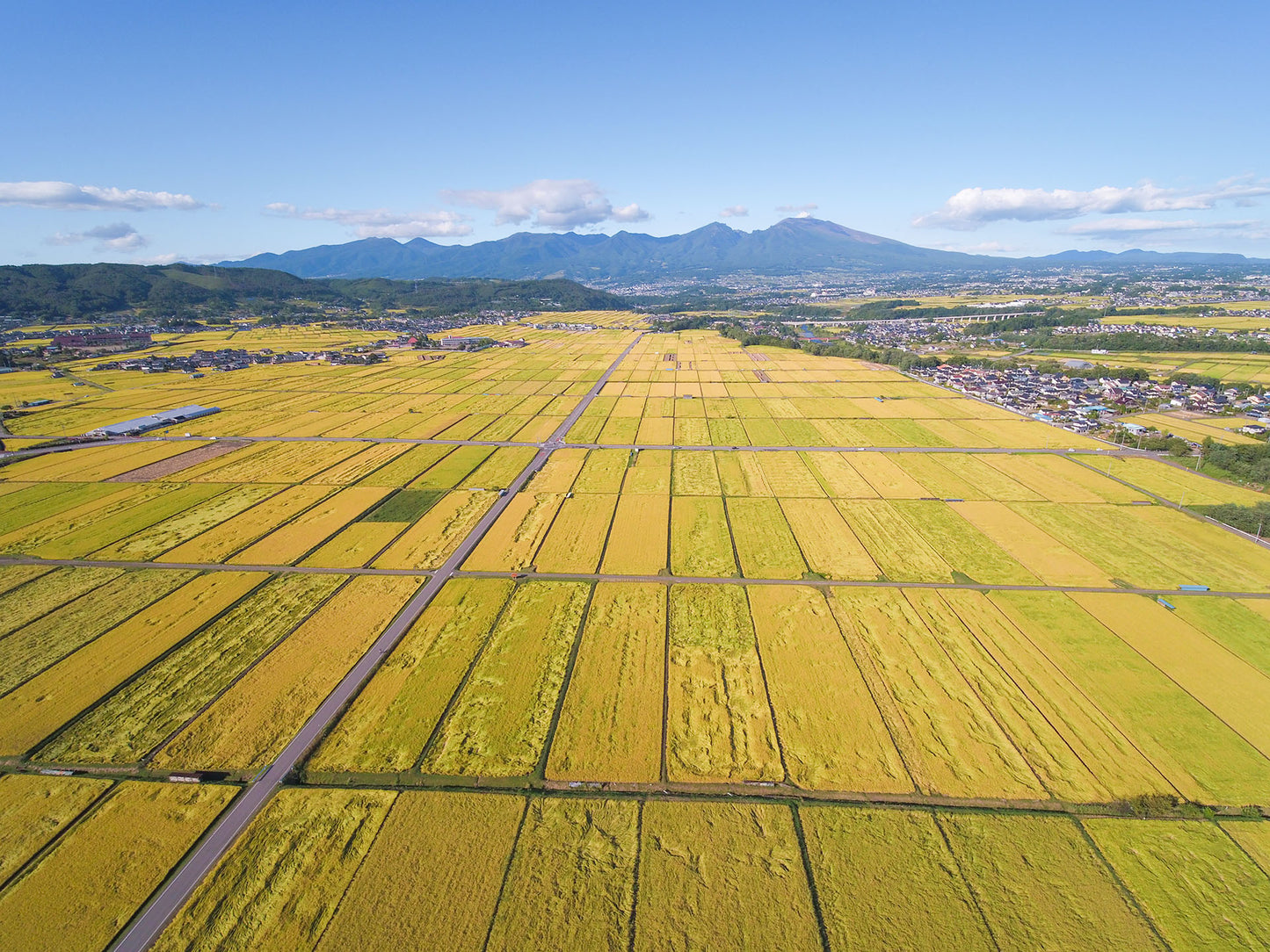 AKANESASU Sparkling Dry