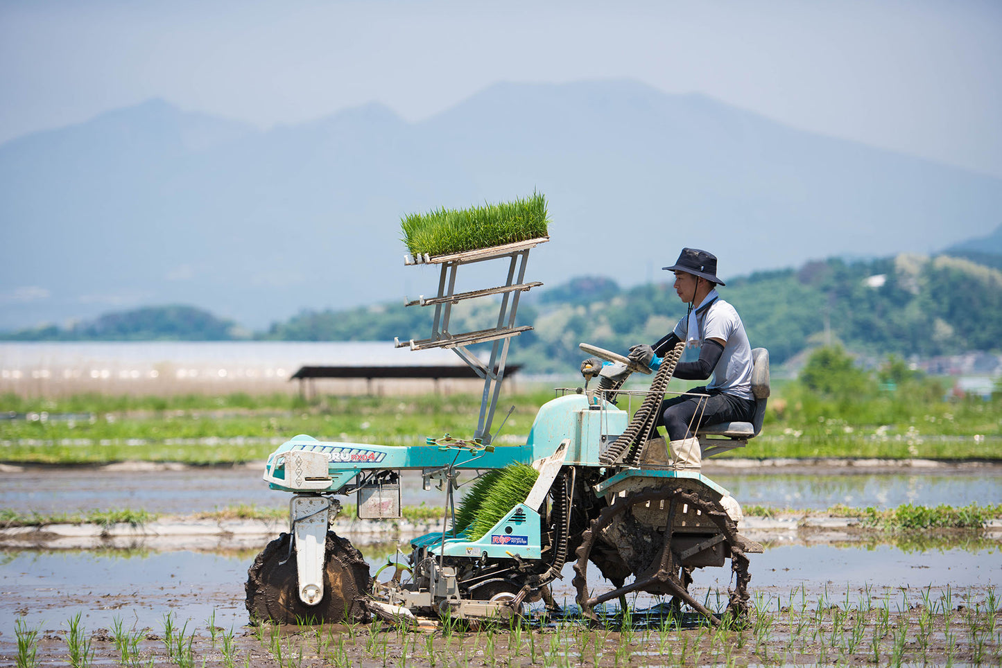 AKANESASU Sparkling Dry